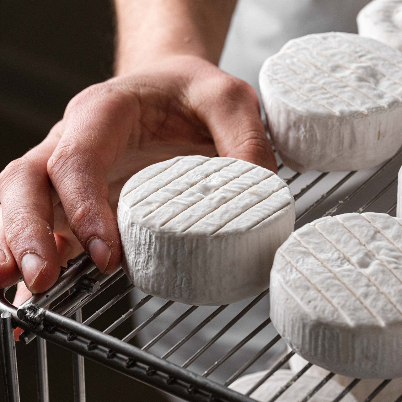Pri a crosta fiorita 120g - Fermaggio®