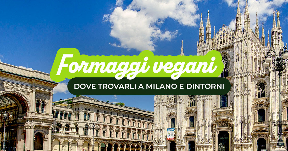 formaggi vegani online 